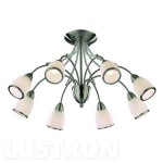 Люстра потолочная Favourite 2494-8U Ideal