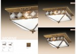 Потолочный светильник Odeon light 2544/2 MOME