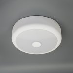 Светильник диодный 15Вт Citilux CL706110 Фостер-1