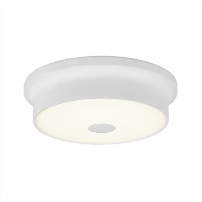 

Светильник Citilux CL706210 Фостер-2, CL706210