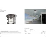 Уличный потолочный светильник Odeon light 4044/1C VIRTA