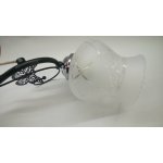 Люстра на 2 лампы Colosseo 73038/2C черный/хром