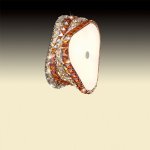 Светильник настенный бра Odeon light 2606/3W Astli