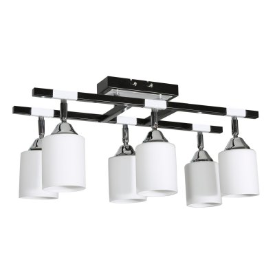 Потолочный светильник Экономсвет 2609/6 BK+CR MK