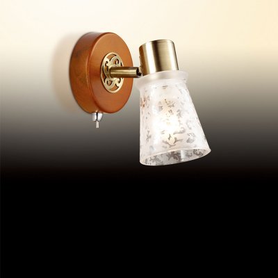 Светильник поворотный спот Odeon light 2614/1W Blanca