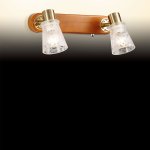 Светильник поворотный спот Odeon light 2614/2W Blanca