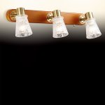 Светильник поворотный спот Odeon light 2614/3W Blanca