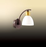 Светильник настенный бра Odeon light 2624/1w Tanais