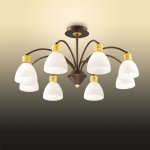 Люстра Odeon light 2624/8c Tanais