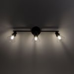 Спот поворотный Citilux CL564531 Бисмарк