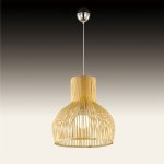 Светильник подвесной Odeon light 2628/1 Alamo