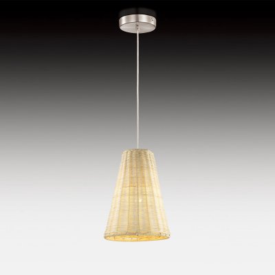 Светильник подвесной Odeon light 2631/1 Grado