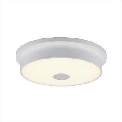 

Светильник настенно-потолочный Citilux CL706220 Фостер-2, CL706220