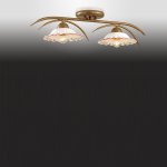 Потолочный светильник Odeon light 2647/2C Camili