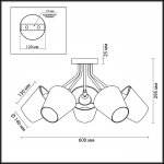 Люстра потолочная Lumion 3749/5C LORI