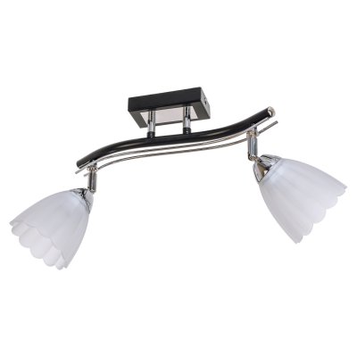 Потолочный светильник Экономсвет 26592/2BK CR