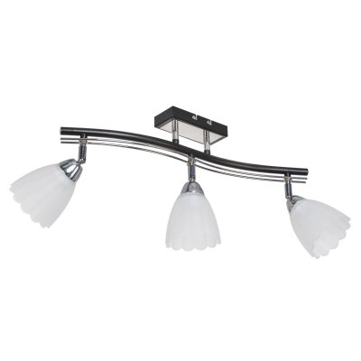 Потолочный светильник Экономсвет 26592/3BK CR