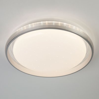 

Светильник Евросвет 40016/1 LED серебряный