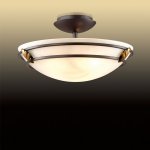 Потолочный светильник Odeon light 2664/3C Osorno