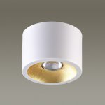 Потолочный накладной светильник Odeon light 3877/1CL GLASGOW