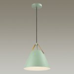 Подвесной светильник Odeon light 4143/1 BERNI