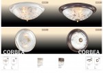 Настенно - потолочный светильник Odeon light 2670/2C CORBEA