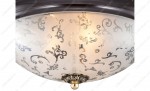 Настенно - потолочный светильник Odeon light 2671/3C CORBEA