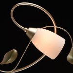 Люстра Mw light 334013208 Верона