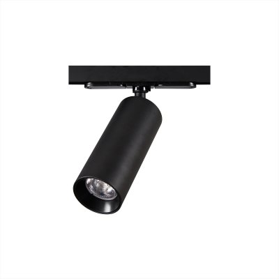 

Светильник Citilux CL01T121