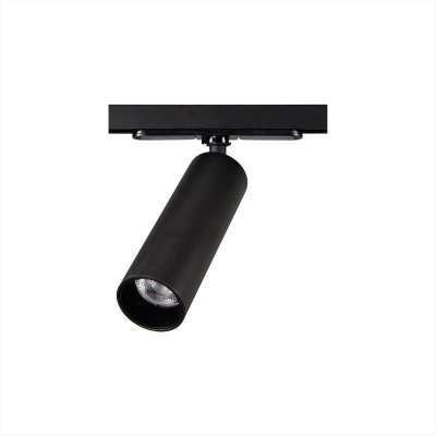 

Светильник Citilux CL01T071