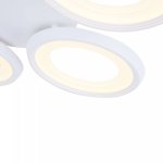 Потолочный светильник Freya FR6010CL-L82W Blis