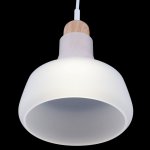 Подвесной светильник Maytoni P015PL-01W Ola