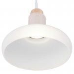 Светильник подвесной Maytoni P016PL-01W