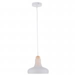 Светильник подвесной Maytoni P016PL-01W