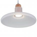 Подвесной светильник Maytoni P017PL-01W Ola