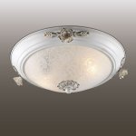 Настенно-потолочный светильник Odeon light 2692/2C BONE