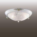 Настенно-потолочный светильник Odeon light 2692/3C BONE