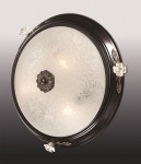 Настенно-потолочный светильник Odeon light 2693/3C BONE