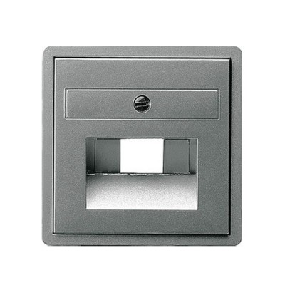 Gira E22 Сталь Накладка 1-ой и 2-ой наклон ТЛФ/комп розетки(мех Rutenbeck, Prodax) (G27020)