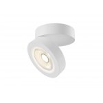 Потолочный светильник Maytoni C022CL-L12W Alivar