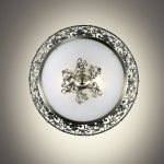 Светильник настенно-потолочный Odeon light 2726/2C BALASA