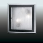 Светильник настенно-потолочный Odeon light 2736/2W ULEN