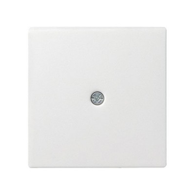 Gira S-55 Бел Накладка ввода кабеля (G27427)