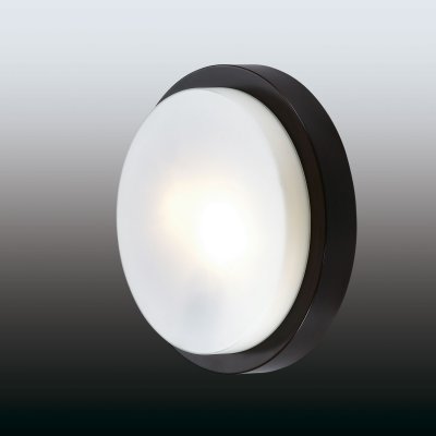 

Настенно - потолочный светильник Odeon light 2744/2C HOLGER, 2744/2C