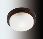 Настенно - потолочный светильник Odeon light 2744/1C HOLGER