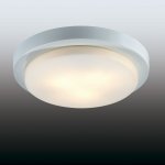 Светильник настенно-потолочный Odeon light 2745/3C HOLGER