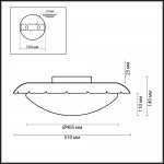 Светильник настенно-потолочный Odeon light 2753/3C ZITA