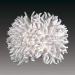 Светильник настенный бра Odeon light 2755/1W ESMA