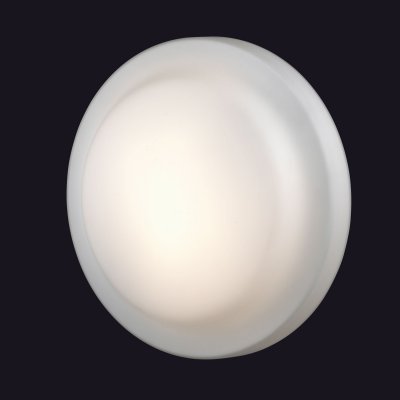 Светильник настенно-потолочный Odeon light 2760/3C TAVOY