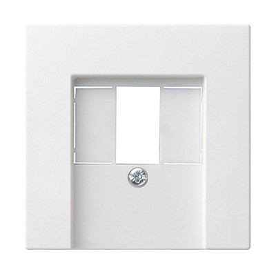 Gira S-55 Бел Накладка ТЛФ розетки TAE, аудиорозетки(110910),USB (107000) с шильдиком (G27627)